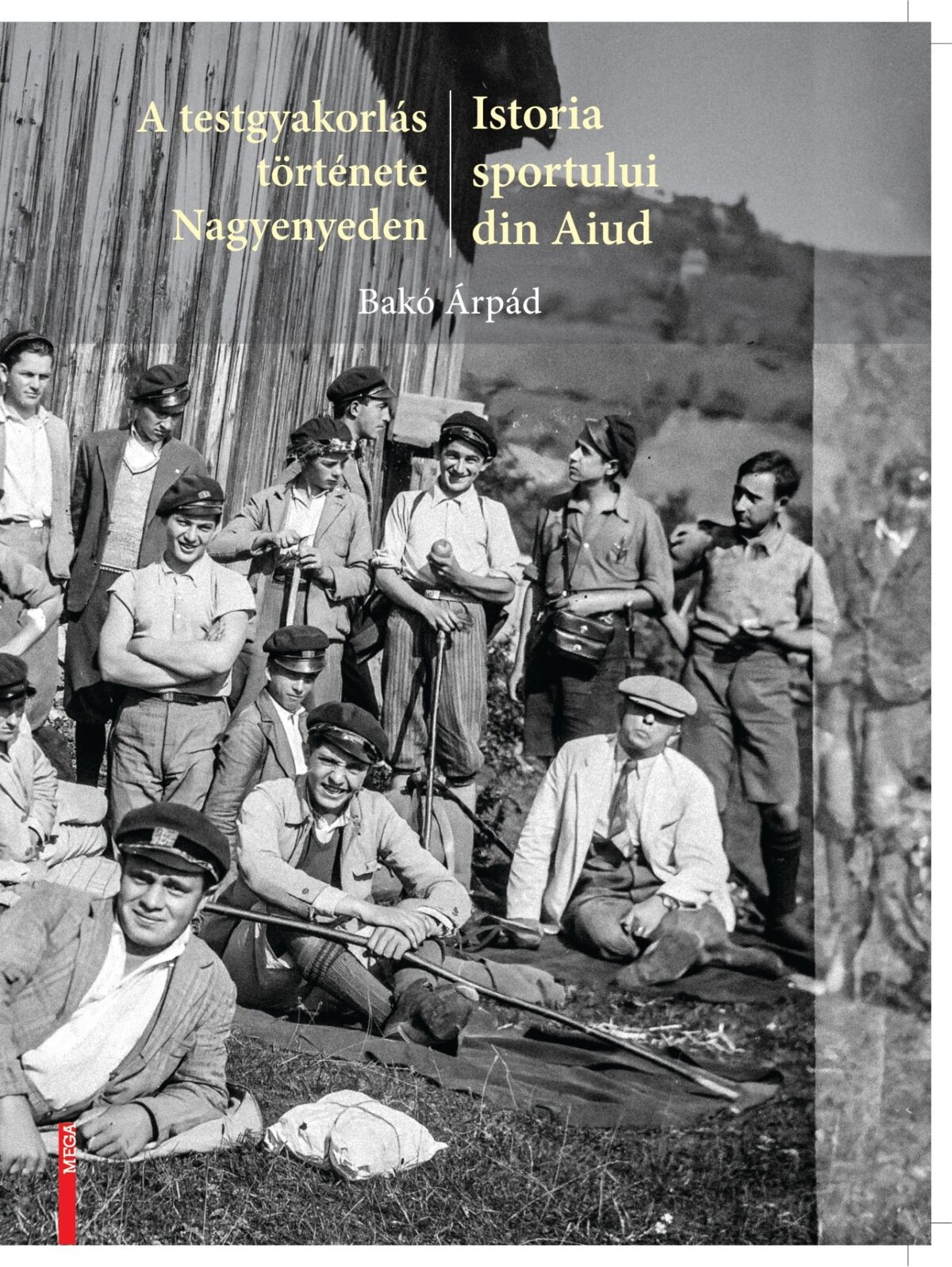 article-cover